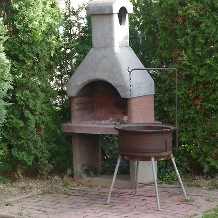 Edina زلاكاروس