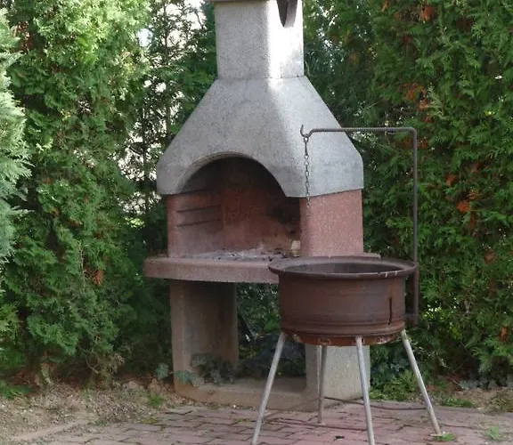 Edina ザラカロシュ